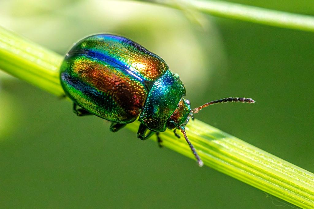 foto cliente soddisfatto dei servizi naturali