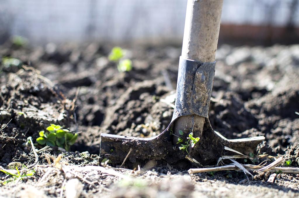 Concime organico biologico per giardini