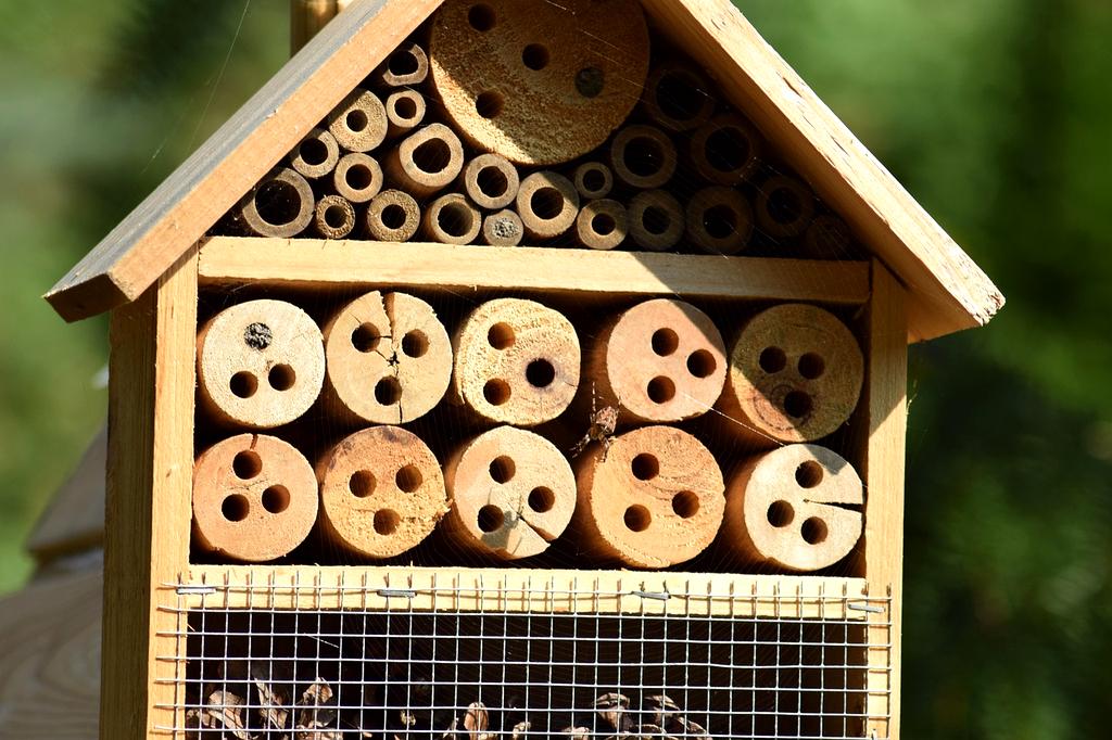 famiglia felice in giardino protetto naturalmente dagli insetti