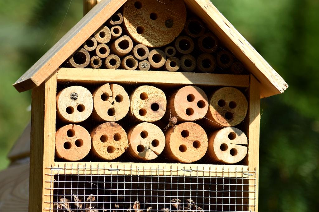 Tecniche naturali per protezione giardino