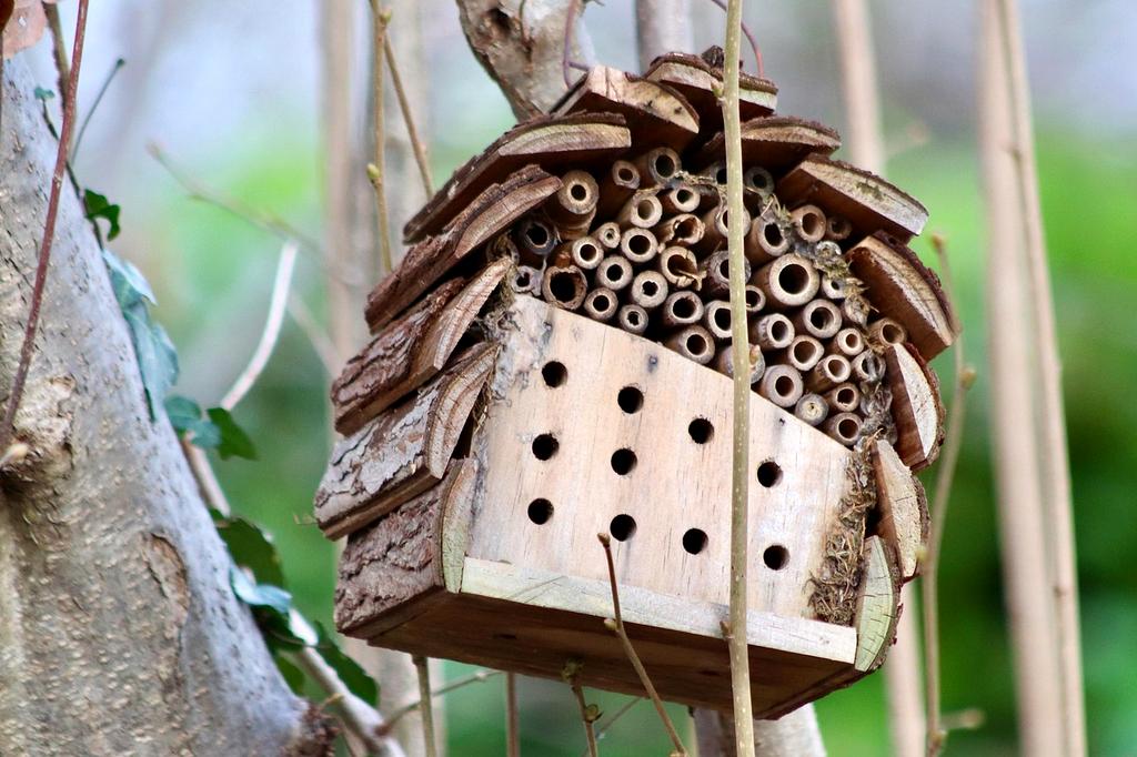 applicazione di tecniche naturali per proteggere il giardino